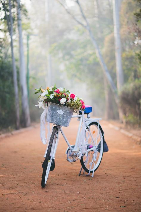 Pretty Bicycle, Bicycle With Flowers, Bike Planter, Bicycle Pictures, Bike With Basket, Bicycle Decor, Pretty Bike, Whatsapp Dp Images, Bicycle Art