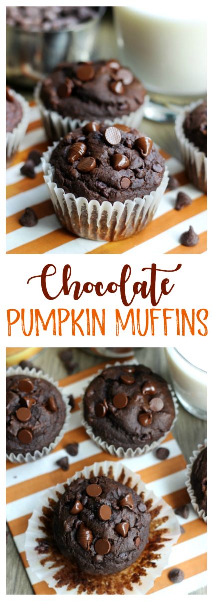 A FAVORITE recipe in our home that will sure to be a hit in yours, too. These chocolate pumpkin muffins combine pureed pumpkin, pumpkin spice, and chocolate in the best way possible. Chocolate Pumpkin Muffins, Vegan Pumpkin Muffins, Sallys Baking, Spice Muffins, Pumpkin Spice Muffins, Chocolate Pumpkin, Sally's Baking, Pumpkin Pumpkin, Vegan Pumpkin