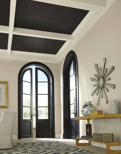 Sherwin-Williams Alabaster wall color & accent color on doors/window frames... Alabaster Sherwin Williams, Timeless Paint Colors, Tricorn Black, Best Front Doors, Rock Lobster, Black Paint Color, Front Door Paint Colors, Black Rooms, Paint Your House