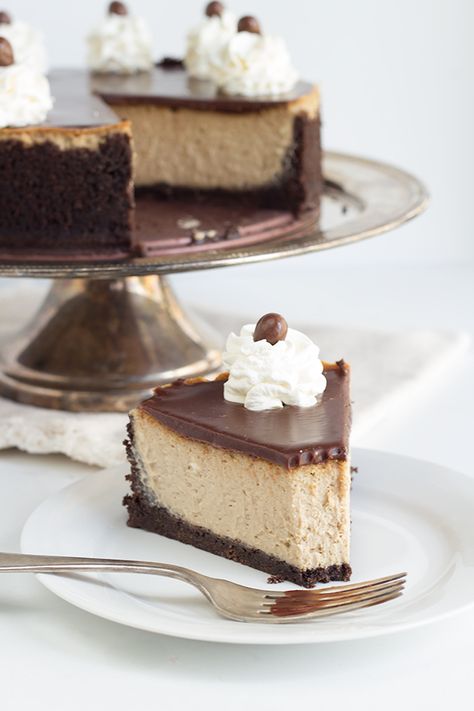 If you're looking for a delicious coffee and chocolate flavor dessert, this mocha cheesecake with a boozy mocha ganache has your name all over it! Mocha Ganache, Mocha Cheesecake, Cheesecake Cookie, Chocolate And Coffee, Coffee Cheesecake, Coffee Liqueur, Cheesecake Chocolate, Low Carb Chocolate, Delicious Coffee