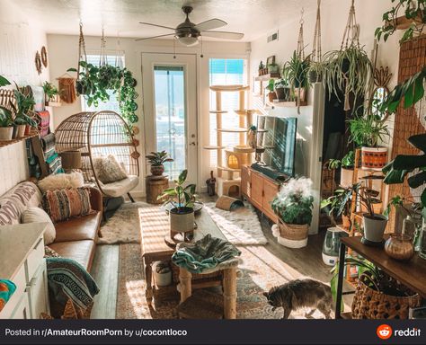 Cottagecore Studio Apartment, Cottagecore Apartment Decor, Cottagecore Apartment, Lots Of Plants, Home Decor Ideas Living Room, Dream Apartment, Apartment Inspiration, Ideas Living Room, Home Design Ideas