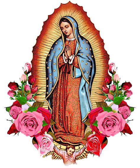 Our Lady Of Guadalupe, Lady Of Guadalupe, Our Lady, Virgin Mary, Pink