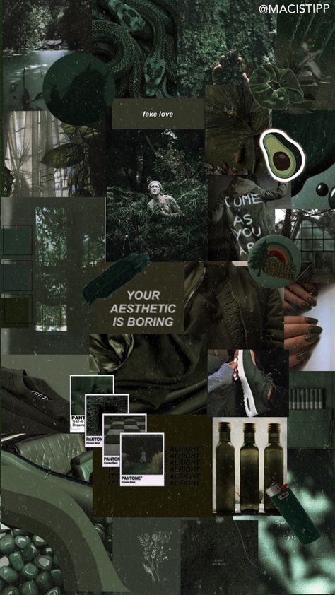 Wallpaper credit MACISTIPP Dark Green Atheistic, Clovercore Aesthetic, Dark Green Themed Wallpaper, Dark Green Collage Wallpaper, Green Atheistic Wallpaper, Aesthetic Wallpaper Green Dark, Dark Green Wallpaper Aesthetic, Green Collage Wallpaper, Black And Green Wallpaper