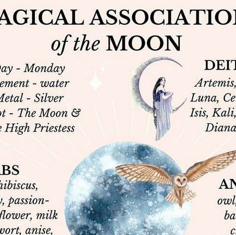 Belneus on Instagram: "From @alicethestarseedwitch" Magical Correspondences, Moon Information, Magical Moon, Baby Witch, Spiritual Awakening, The Moon, Witch, Spirituality, Herbs