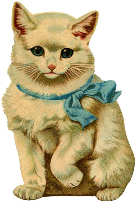 12+ Beautiful Vintage Kitten and Cat Pictures! - The Graphics Fairy Söt Katt, Victorian Scrap, Cat Clipart, Adorable Kitten, Kitten Pictures, Images Vintage, Retro Cats, Clip Art Vintage, Illustration Vintage