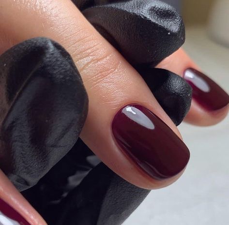 Pinotage Nails, Nail Polish Toes, Biosculpture Gel Nails, Semi Nails, Bio Nails, Dark Nail Polish, Dark Nail, Toe Polish, Makeup 101