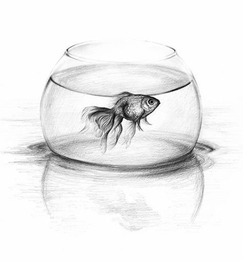 Stunning "Aquarium" Colored Pencil Drawings And Illustrations For ... Fish In A Bowl, Pencil Drawings Of Animals, Pencil Drawing Tutorials, Pencil Sketch Drawing, Nature Art Drawings, White Drawing, One Wish, Pencil Art Drawings, Art Drawings Sketches Creative