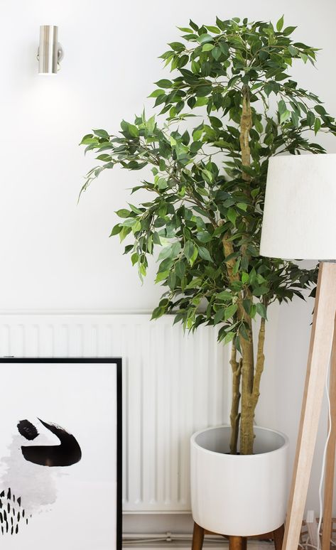 When In Doubt, Fake It | The Lovely Drawer Ikea Fake Plants, Pink Hallway, Green Walls Living Room, Fake Plants Decor, Modern Living Room Interior, Plants Ideas, Fake Succulents, Living Room Plants, Indoor Trees