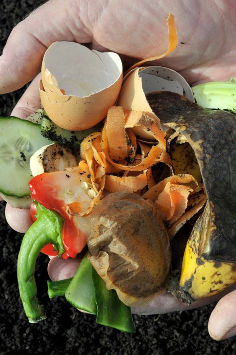 Not ever so exciting but saving kitchen waste for the compost bin can carry on even in December! 😀⁠ ⁠ Compost For Garden, Composting Ideas, How To Make Compost, Metal Raised Garden Beds, Lawn Care Tips, Composting At Home, Garden Calendar, Backyard Vegetable Gardens, Spring Flowering Bulbs