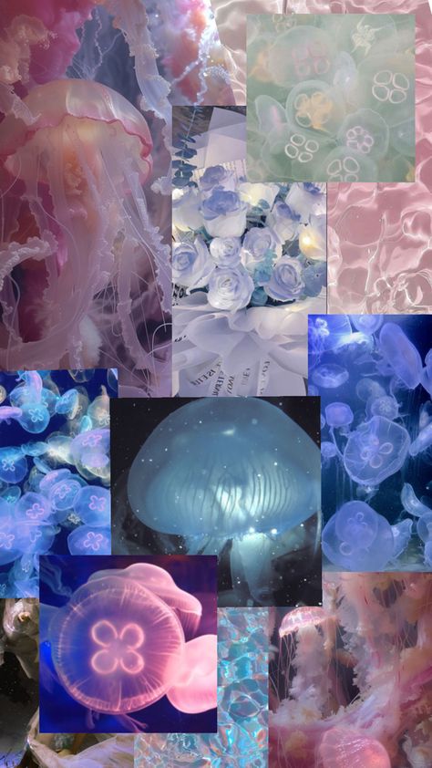 I 💙 Jellyfish Jellyfish Collage, Jellyfish Moodboard, Jellyfish Core, Inspiration Boards, Jellyfish, Architecture Model, Mood Boards, Art Inspo, Collage