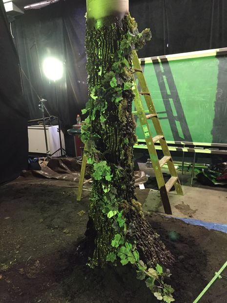 This is a great way to make cool trees for a theatre production or a more mythical type film. I wouldn't recommend it for close up shots in a film though unless... Diy Forest Decor, Cool Trees, Enchanted Forest Decorations, Matte Spray Paint, Forest Bedroom, Forest Room, Theatre Production, Expanding Foam, Garden Mushrooms