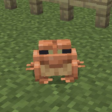 Frogs Minecraft, Luana Core, Cute Minecraft Animals, Minecraft Frog Banner Design, Minecraft Frog, Frog Minecraft, Frog Banner Minecraft, Minecraft Animals, Minecraft Pfp