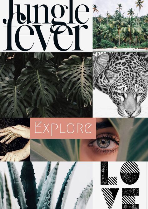 Jungle Mood Board, Jungle Branding, Safari Moodboard, Party Moodboard, Storytelling Illustration, Sauna Ideas, Adopt Idea, Jungle Fever, Page Layout Design