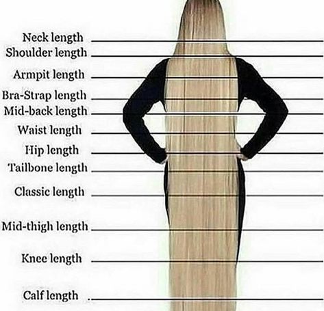 Hairstyles (@inspirehairstyles) on Instagram: “What's your hair length? Comment below! ✂️✨” Sanggul Modern, Hair Length Chart, Braid Wig, Braids Styles, Box Braid Wig, Braided Wigs, Box Braid, Fashion Vocabulary, Pinterest Hair