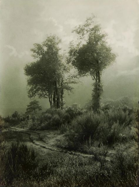 Extraordinary Photographs by Léonard Misonne - Flashbak Atmospheric Photo, Photography Inspiration Nature, Landscape Photography Tips, Landscape Pictures, Cebu, Photography Techniques, Urban Landscape, Landscape Photographers, Landscape Photos