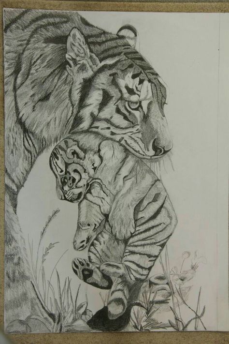 Tiger Art Drawing, Tiger Sketch, Realistic Animal Drawings, Grey Scale, Etch A Sketch, Pencil Drawings Of Animals, Animal Drawings Sketches, Pencil Sketch Images, Year 9