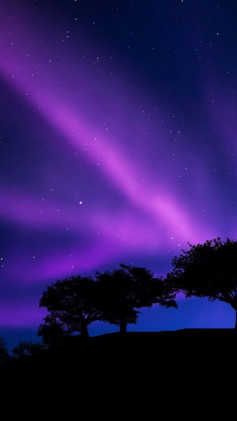 Twitter Purple Aurora Borealis, Northern Lights Purple, Purple Northern Lights, Aurora Lights, Wallpaper Estetika, Violet Aesthetic, Northern Light, Night Sky Wallpaper, Dark Purple Aesthetic