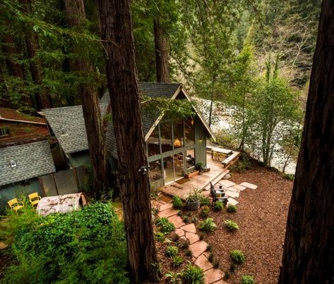 Airbnb Find: Sequoia A-Frame Cabin Mid Century Cabin, Sonoma Coast, Glamping Site, A Frame Cabin, A Cabin, Small Cabin, Cabin In The Woods, Cabins And Cottages, Modern Cabin