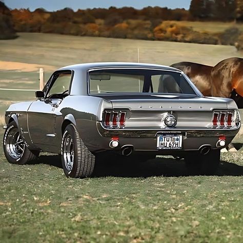 Siyah Mustang, Old Mustang, Mustang 67, Muscle Cars Mustang, 1967 Mustang, Ford Mustang Coupe, Carros Vintage, Classic Mustang, Best Muscle Cars