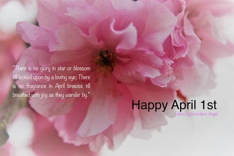 April quotes April 1st Quotes, April Quotes, Happy April, April 1st, Good Night, Blossom, Angel, Quotes