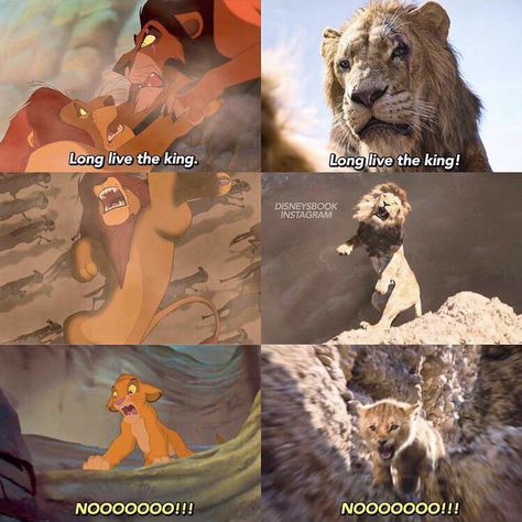 Disney Scenes, Lion King Quotes, Scar Lion King, Lion King 1 1/2, Lion King Timon, Young Simba, Lion King 1, Best Halloween Movies, Lion King Pictures