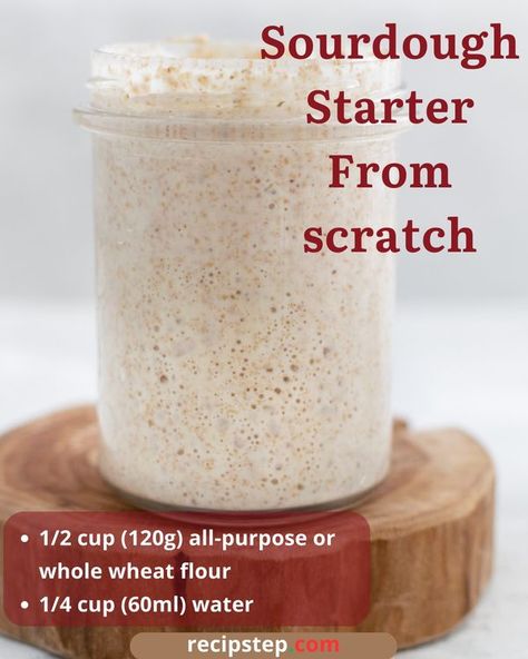 How To Store Sourdough Starter, Making Sourdough Bread, Starter Recipe, Baked Good, Homemade Sourdough Bread, Homemade Sourdough, Artisan Bread Recipes, Sourdough Starter Recipe, No Rise Bread