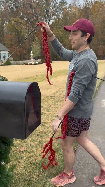 John Mark Sharpe on Instagram: "Mailbox tutorial 🤩" Mailbox Decorations For Christmas, Mailbox Swag Christmas, Christmas Mailbox Decorations, Christmas Mailbox, Mailbox Bow, Holiday Swag, Mailbox Decor, Christmas Mail, Magic Christmas