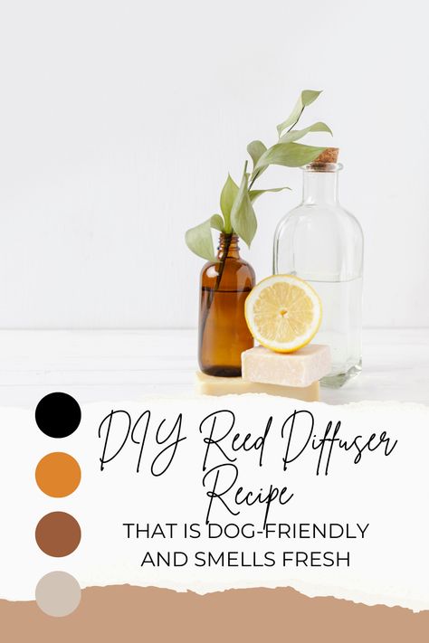 Discover a DIY reed diffuser recipe that creates a fresh and clean scent while being safe for dogs. Learn how to make a dog-friendly reed diffuser using essential oils like lavender, lemon, and frankincense. Perfect for pet owners looking for natural and non-toxic home fragrance solutions. Natural Reed Diffuser, Non Toxic Reed Diffuser, Diy House Scents, Diy Home Spray Air Freshener, Diy Scent Diffuser, Homemade Scents For The Home, Homemade Reed Diffuser Oil Recipes, Dog Friendly Essential Oils, How To Make Reed Diffuser Oil Diy