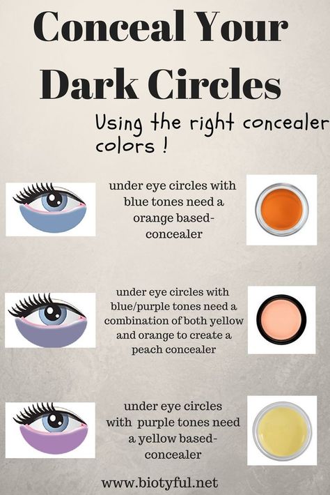 Peach Concealer, Orange Concealer, Concealer Color, Hide Dark Circles, Concealer For Dark Circles, Face Makeup Tips, Concealer Colors, Dark Circles Under Eyes, Dark Circle