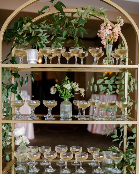 a Champagne Welcome—yes, please!! 🥂Champagne is the perfect little happy to greet your guests with! Champagne Welcome Drink Wedding, Champagne Welcome Drink, Welcome Drink Wedding, Drink Wedding, Welcome Drink, Wedding Drink, Yes Please, Wedding Things, Instagram A