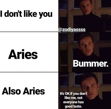 Aries Mood, Aries Things, Aries Funny, Arte Aries, Astrology Signs Aries, Zodiac Quotes Scorpio, Zodiac Signs Pictures, Aries Baby, Aries Quotes