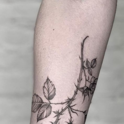 Ｔｏｍａ • ｌａｎｇｕｉｄ　ａｒｔ • on Instagram: "• BLACKBerry and a small field surprise on the last photo ➡️ • for @evhena • ⠀ ⠀ ________________ Supported by @maketattooua, @dr.gritz_tattoo ________________ #blackberry #blackberrytattoo #chamomile #chamomiletattoo" Bramble Tattoo, Blackberry Tattoo, Lil Tattoos, Around Arm Tattoo, Plant Tattoo, Bramble, March 20, Tattoo Inspo, Thigh Tattoo