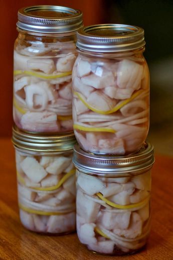 Pickled Northern Pike Walleye Soup, Walleye Dip, Pickled Seafood, Northern Pike Recipe, Pickled Herring Recipe, Canning Fish, Pike Recipes, Perch Recipes, Pickled Fish Recipe