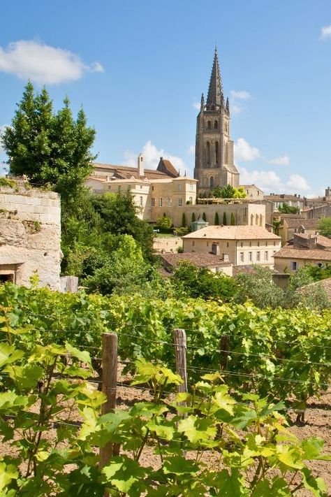 Raise your glasses to the beautiful rolling hills and stunning chateaus of the Bordeaux wine region in France 🇫🇷,  one of the most famous wine growing regions in the world. Bordeaux boasts a rich history and tradition of winemaking. Located in southwest France, this region is known for producing some of the finest red wines in the world, primarily made from Cabernet Sauvignon, Merlot, and Cabernet Franc grapes. #WineTravelGoals #Bordeaux #WorldFoodWine #WineWednesday Europe 2024, Bordeaux Wine, St Emilion, Red Wines, Bordeaux France, World Food, French Wine, Wine Travel, French Culture