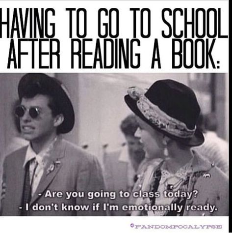 Funny Book Humor, Hilarious Images, Fangirl Quotes, Fandom Quotes, Ansel Elgort, Veronica Roth, Suzanne Collins, Book Nerd Problems, Book Jokes