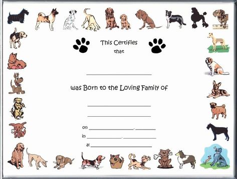 √ 20 Puppy Birth Certificate Template Free ™ | Dannybarrantes Template Dog Birth Certificate, Pet Birth Certificate, Dog Certificate, Puppy Birth Certificate, Dog Adoption Certificate, Free Printable Certificate Templates, Dog Birth, Free Printable Certificates, Birth Certificate Template