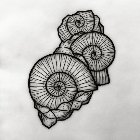 Dinosaur Tattoos, Dinosaur Drawing, Gorgeous Tattoos, Ammonite Fossil, Line Work Tattoo, Ink Ideas, Tattoo Sleeve, Tattoo Inspo, Miniature Painting