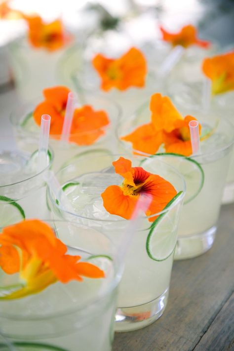 Romantic Ceremony, Cocktail Hour Wedding, Pop Fizz Clink, Newport Wedding, Orange Party, Spring Cocktails, Extra Work, All White Wedding, 22 December