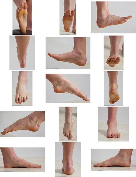 Leg Reference, Feet Drawing, Foot Anatomy, Life Drawing Reference, Reference Photos For Artists, Anatomy For Artists, Human Reference, 인물 드로잉, Gesture Drawing