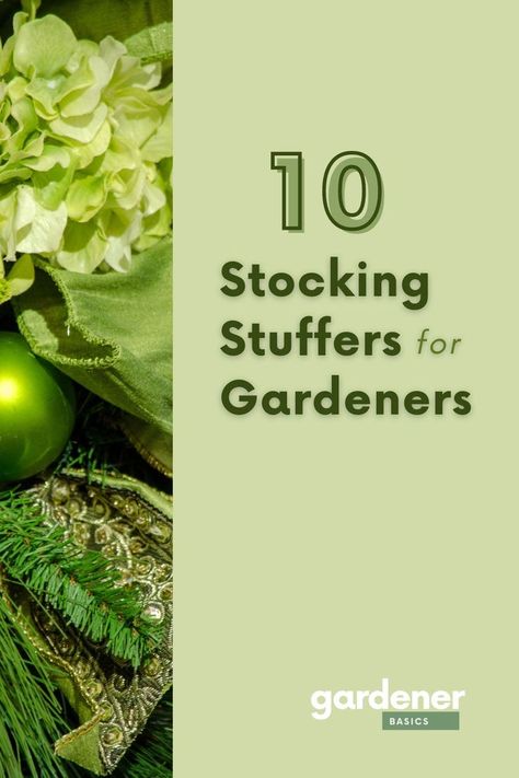 10 Unique Stocking Stuffers for Gardeners Garden Planing, Gardening Herbs, Gardener Gifts, Gifts For Gardeners, Herbs Plants, Unique Stocking Stuffers, Hobbies For Women, Survival Gardening, Best Stocking Stuffers