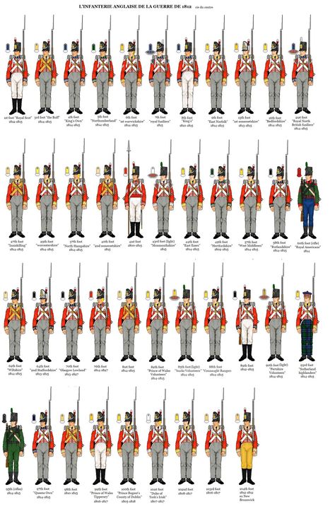 Uniforms of British regiments in the War of 1812                                                                                                                                                     More Napoleonic Wars Uniforms, Army Structure, Waterloo 1815, Army Ranks, Century Uniforms, British Army Uniform, Napoleonic Uniforms, British Uniforms, British Armed Forces