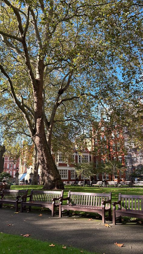 Mayfair, London, garden, warm, nature, Autumn Waterloo Sunset, Aesthetic Family, London Mayfair, London Country, London Dreams, Nature Autumn, Mayfair London, London Garden, London Summer