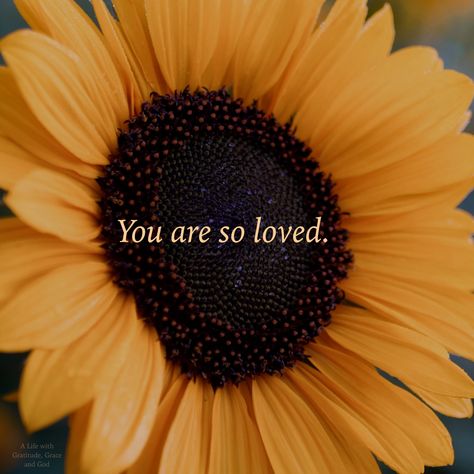 You are loved You Are Loved More Than You Know, You Are So Loved, You Are Loved Quotes, You Are Loved, Motovational Quotes, Quotes About Hard Times, Love Pain, Jesus Girl, You Are Precious