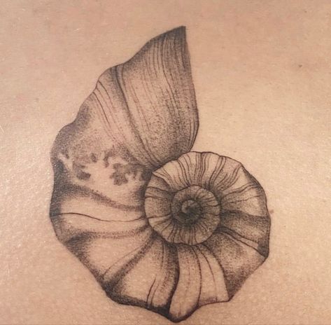 Sea Shells Tattoo Design, Nautilus Tattoo Sacred Geometry, Seashell Wave Tattoo, Moon Shell Tattoo, Nautalis Shell Tattoo, Fineline Shell Tattoo, Sea Snail Tattoo, Snail Shell Tattoo, Clamshell Tattoo