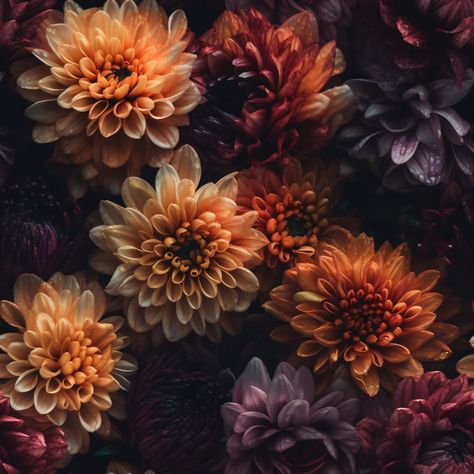 "The \"Moody Dark Dahlias\" digital pattern set is a striking collection of designs featuring bold and dramatic dahlias, rendered in rich, moody hues. Each pattern is a high-resolution 12x12 inch image at 300dpi, making them ideal for a range of digital and print projects. The dahlias in this set are rendered in shades of deep purple, burgundy, and black, with subtle variations in tone that add depth and dimensionality to each design. Whether you're looking to create custom digital wallpaper, pr Moody Summer Aesthetic, Eggplant Room, Dark Elegant Aesthetic, Moody Fall Aesthetic, Earthy Tones Aesthetic, Dahlia Wallpaper, Dark Dahlia, Moody Romantic Wedding, Deep Purple Flowers