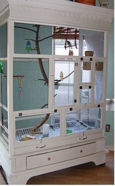 This is something I will be making soon, as SOON as I can find myself an old hutch somewhere, I have 4 birds and 3 cages in between the living room and kitchen… Parrot Care, Diy Bird Cage, Sugar Glider Cage, Pet Bird Cage, Zebra Finch, Bird House Kits, Bird Aviary, Parrot Cage, Diy Birds