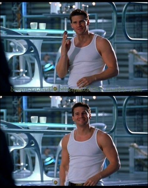 David Boreanaz Bones, David Boreanaz Angel, Bones Quotes, Kathy Reichs, Bones Series, Seeley Booth, Bones Tv Series, Booth And Bones, Booth And Brennan