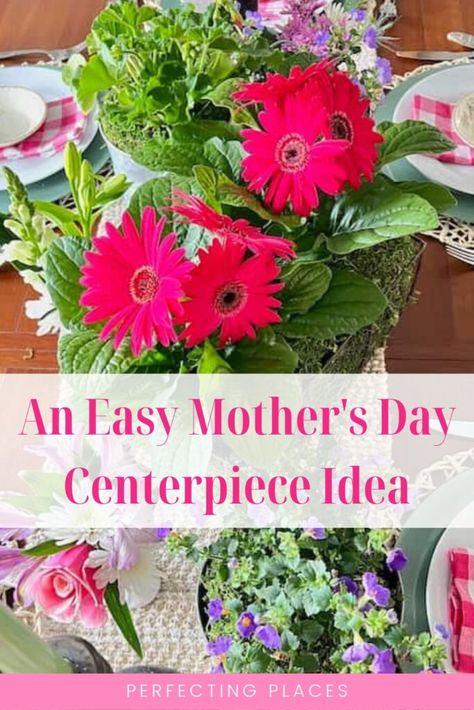 Mother's Day tablescape with annual flowers -- pink Gerbera daisies, purple and pink flowers - PIN Mother’s Day Table Centerpiece, Mothers Day Dinner, Idea For Mother's Day, Pink Gerbera, Organization Inspiration, Annual Flowers, Gerbera Daisy, Flower Pins, Garden Center