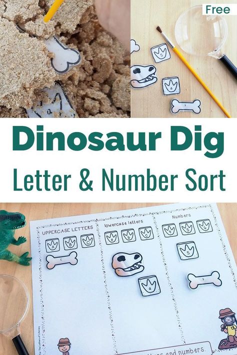 Kids will love sorting numbers and letters with this Dinosaur Dig Number and Letter Sort Sensory Bin Activity! #sensorybin #literacy #alphabet #numbers #freeprintable #dinosaurdig #dinosaurs #preschool #kindergarten Dinosaur Centers Preschool, Dinosaur Literacy Activities Preschool, Dinosaur Literacy Activities, Dinosaurs Prek, Dinosaur Centers, Dinosaur Preschool Activities, Dinosaurs Kindergarten, Dinosaur Unit Study, Dinosaur Lesson