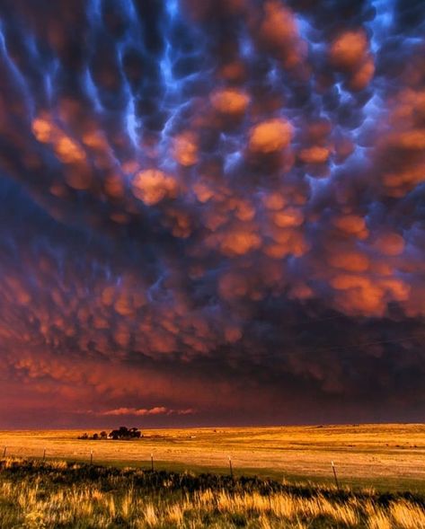 MUST FOLLOW TO BE FEATURED on Instagram: “presents BRAD HANNON DAY***********************************🏆✨🏆✨🏆Today's Featured Winner ******************************** CoNgRaTuLaTiOnS***…” #clouds #stormy #nature #photography Mammatus Clouds, Wild Weather, Beautiful Skies, Clouds Photography, Colorful Clouds, Land Of Enchantment, Sun Sets, Natural Phenomena, Sky And Clouds